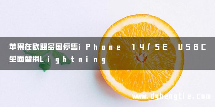 苹果在欧盟多国停售iPhone 14/SE USBC全面替换Lightning
